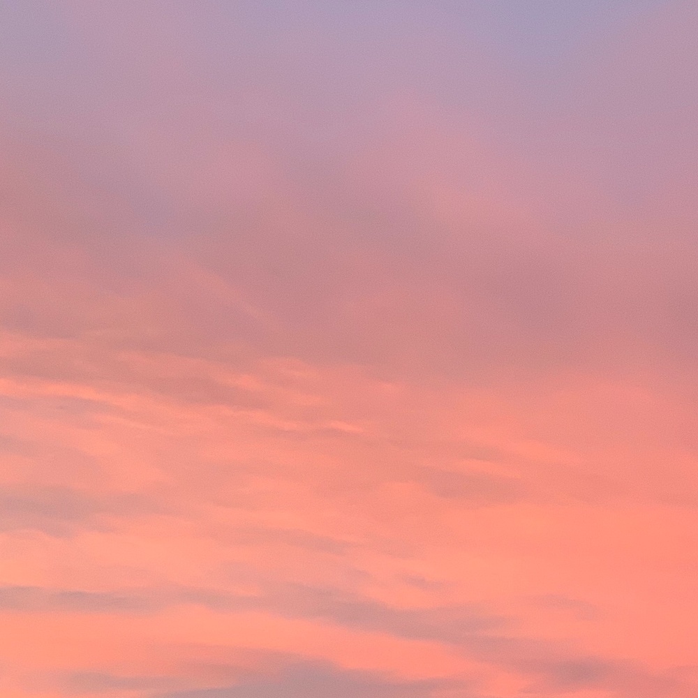 Meet your Posher, Addi